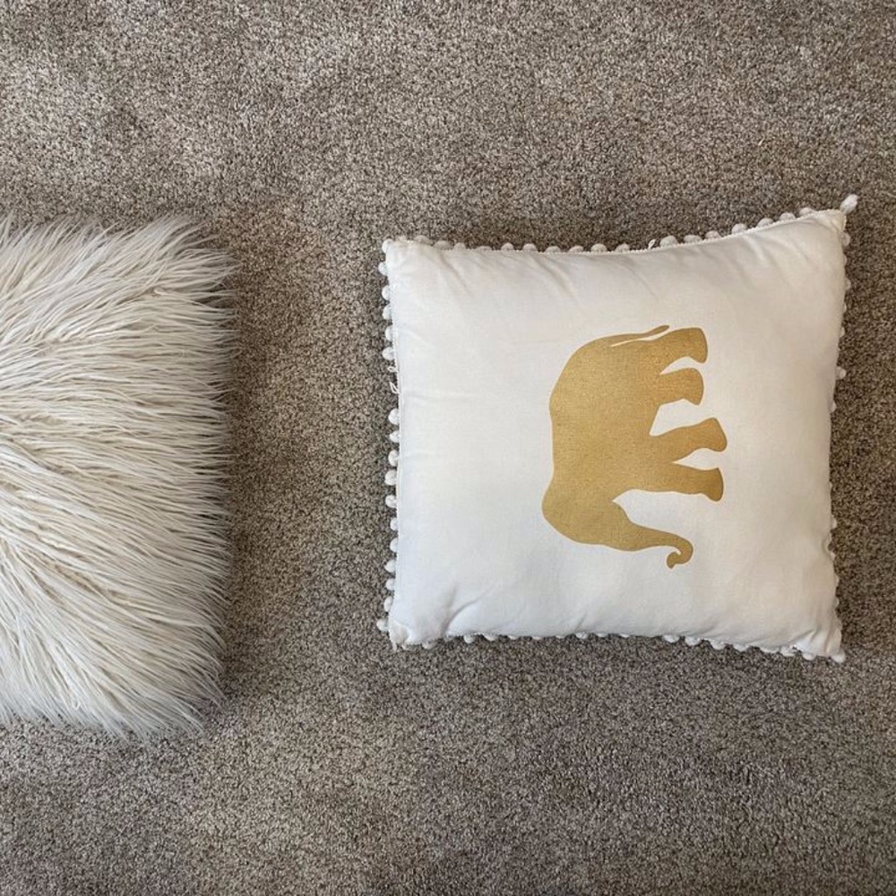 Decorative Pillows